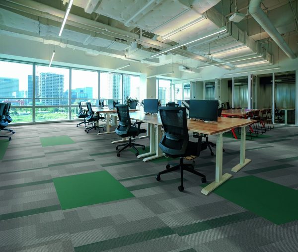 AMPLIFY PLANK - Image 7