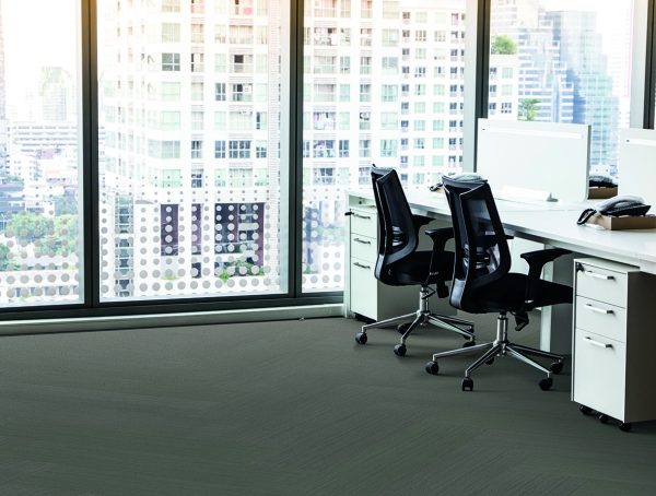 COLORPOINT PLANK - Image 3