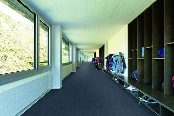 COLORPOINT PLANK - Image 4